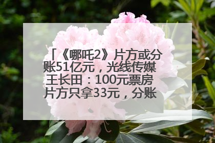 《哪吒2》片方或分账51亿元，光线传媒王长田：100元票房片方只拿33元，分账方式不合理