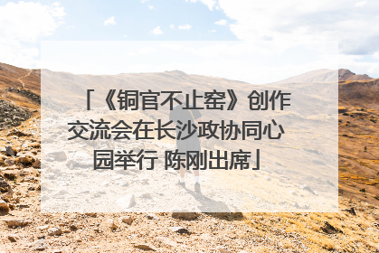 《铜官不止窑》创作交流会在长沙政协同心园举行 陈刚出席