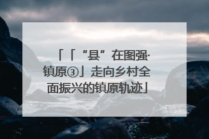 「“县”在图强·镇原③」走向乡村全面振兴的镇原轨迹