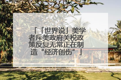 「世界说」美学者斥美政府关税政策反复无常正在制造“经济创伤”