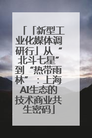 「新型工业化媒体调研行」从“北斗七星”到“热带雨林”：上海AI生态的技术商业共生密码