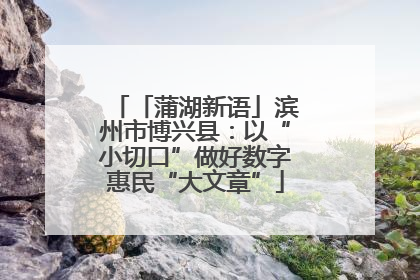 「蒲湖新语」滨州市博兴县：以“小切口”做好数字惠民“大文章”