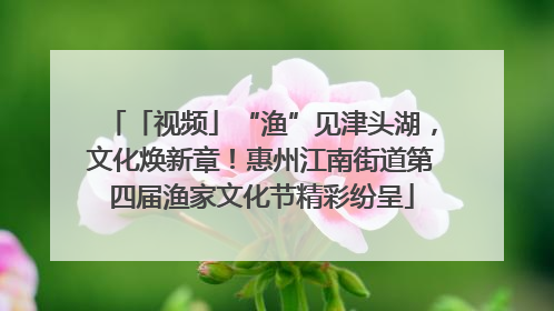 「视频」“渔”见津头湖，文化焕新章！惠州江南街道第四届渔家文化节精彩纷呈