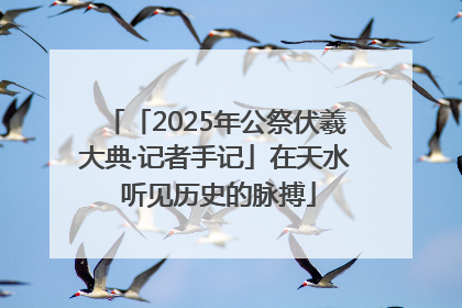 「2025年公祭伏羲大典·记者手记」在天水 听见历史的脉搏