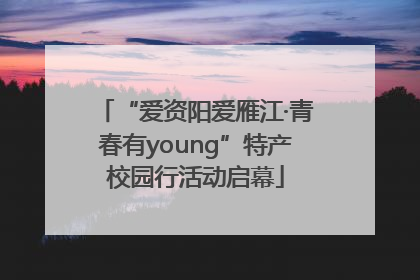 “爱资阳爱雁江·青春有young”特产校园行活动启幕