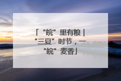 “皖”里有粮｜“三夏”时节，一“皖”麦香