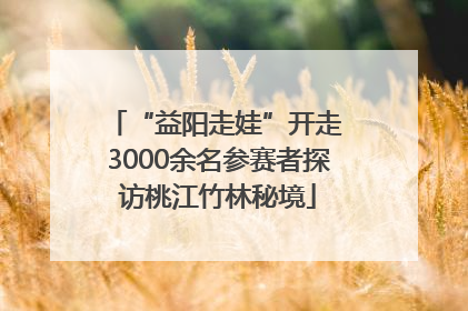 “益阳走娃”开走 3000余名参赛者探访桃江竹林秘境