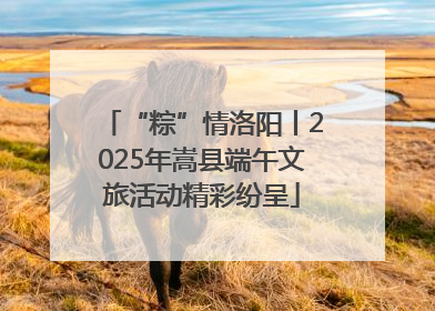 “粽”情洛阳丨2025年嵩县端午文旅活动精彩纷呈