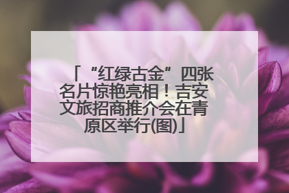 “红绿古金”四张名片惊艳亮相！吉安文旅招商推介会在青原区举行(图)