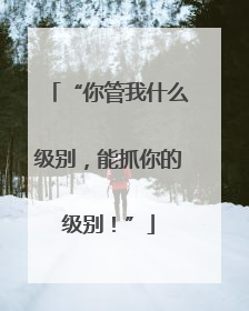 “你管我什么级别，能抓你的级别！”