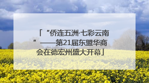 “侨连五洲·七彩云南”——第21届东盟华商会在德宏州盛大开幕