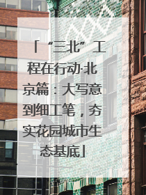 “三北”工程在行动·北京篇：大写意到细工笔，夯实花园城市生态基底