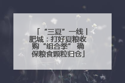“三夏”一线丨肥城：打好夏粮收购“组合拳” 确保粮食颗粒归仓