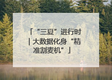 “三夏”进行时｜大数据化身“精准割麦机”