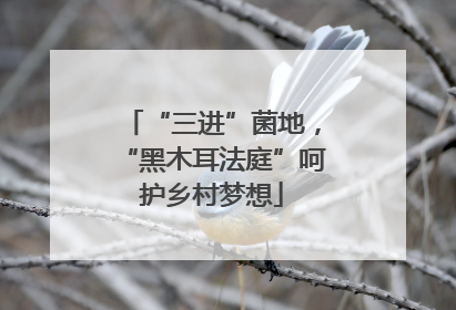 “三进”菌地，“黑木耳法庭”呵护乡村梦想
