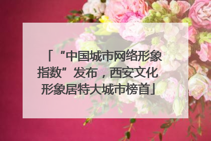 “中国城市网络形象指数”发布，西安文化形象居特大城市榜首