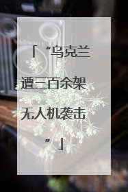 “乌克兰遭三百余架无人机袭击”