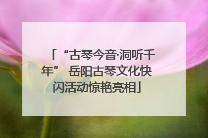 “古琴今音·洞听千年” 岳阳古琴文化快闪活动惊艳亮相