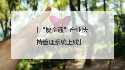 “厦企通”产业扶持管理系统上线