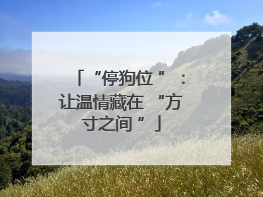 “停狗位 ”：让温情藏在 “方寸之间 ”
