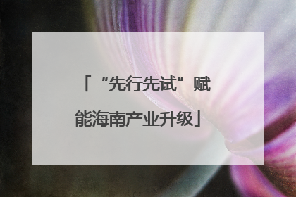 “先行先试”赋能海南产业升级