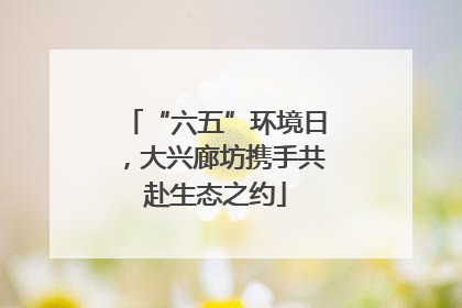 “六五”环境日，大兴廊坊携手共赴生态之约
