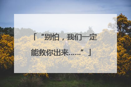 “别怕，我们一定能救你出来……”