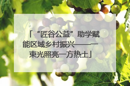 “匠谷公益”助学赋能区域乡村振兴——一束光照亮一方热土