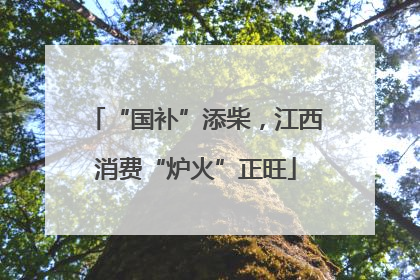 “国补”添柴，江西消费“炉火”正旺
