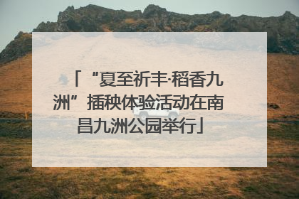 “夏至祈丰·稻香九洲”插秧体验活动在南昌九洲公园举行