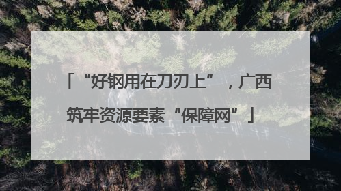 “好钢用在刀刃上”，广西筑牢资源要素“保障网”