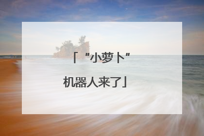 “小萝卜”机器人来了