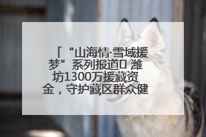 “山海情·雪域援梦”系列报道⑪ 潍坊1300万援藏资金，守护藏区群众健康“最后一公里”