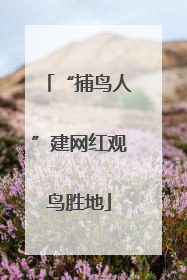 “捕鸟人”建网红观鸟胜地