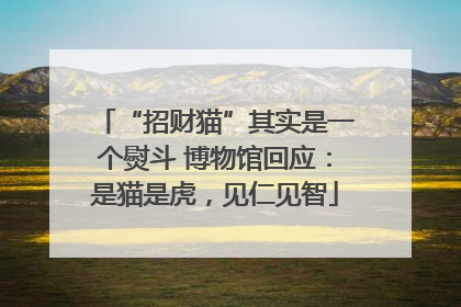 “招财猫”其实是一个熨斗 博物馆回应：是猫是虎，见仁见智
