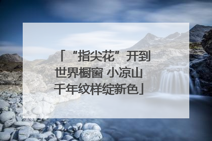“指尖花”开到世界橱窗 小凉山千年纹样绽新色