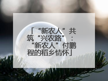 “新农人”共筑“兴农路”：“新农人”付鹏程的稻乡情怀