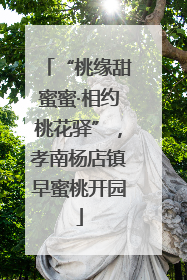 “桃缘甜蜜蜜·相约桃花驿”，孝南杨店镇早蜜桃开园