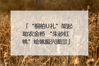 “桐柏U礼”架起助农金桥 “朱砂红桃”绘就振兴图景