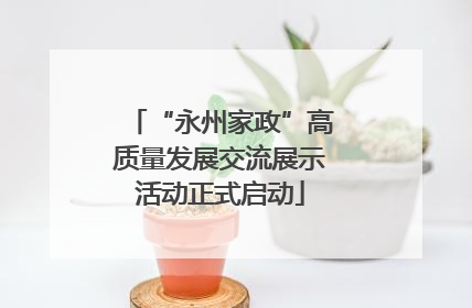 “永州家政”高质量发展交流展示活动正式启动