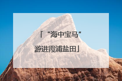 “海中宝马”游进霞浦盐田