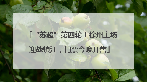 “苏超”第四轮！徐州主场迎战镇江，门票今晚开售