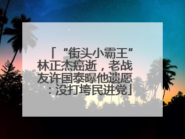 “街头小霸王”林正杰癌逝，老战友许国泰曝他遗愿：没打垮民进党