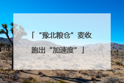 “豫北粮仓”麦收跑出“加速度”