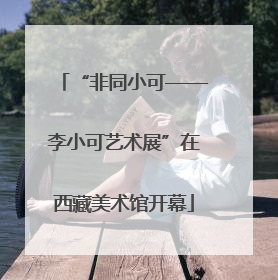 “非同小可——李小可艺术展”在西藏美术馆开幕