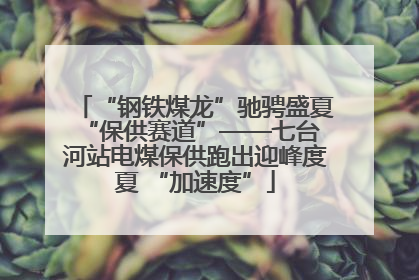 “钢铁煤龙”驰骋盛夏 “保供赛道”——七台河站电煤保供跑出迎峰度夏 “加速度”