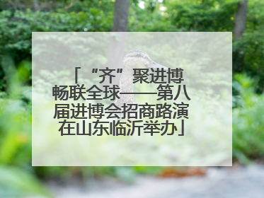 “齐”聚进博 畅联全球——第八届进博会招商路演在山东临沂举办