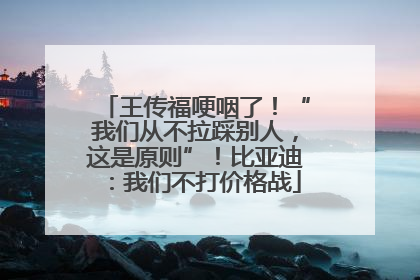 王传福哽咽了！“我们从不拉踩别人，这是原则”！比亚迪：我们不打价格战