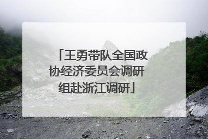 王勇带队全国政协经济委员会调研组赴浙江调研