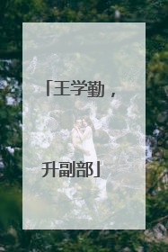 王学勤，升副部